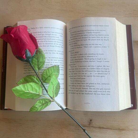 First Edition ECLIPSE ( Hardcover ) by Stephanie Meyer. 2007 . Book 3 of 5. - Picture 10 of 15